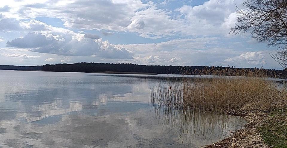 Cztery Pory Warmii Pluski Pokoje Do Wynajecia Appartement Buitenkant foto