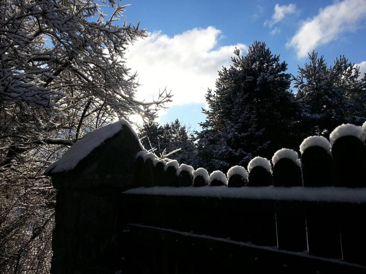 Cztery Pory Warmii Pluski Pokoje Do Wynajecia Appartement Buitenkant foto