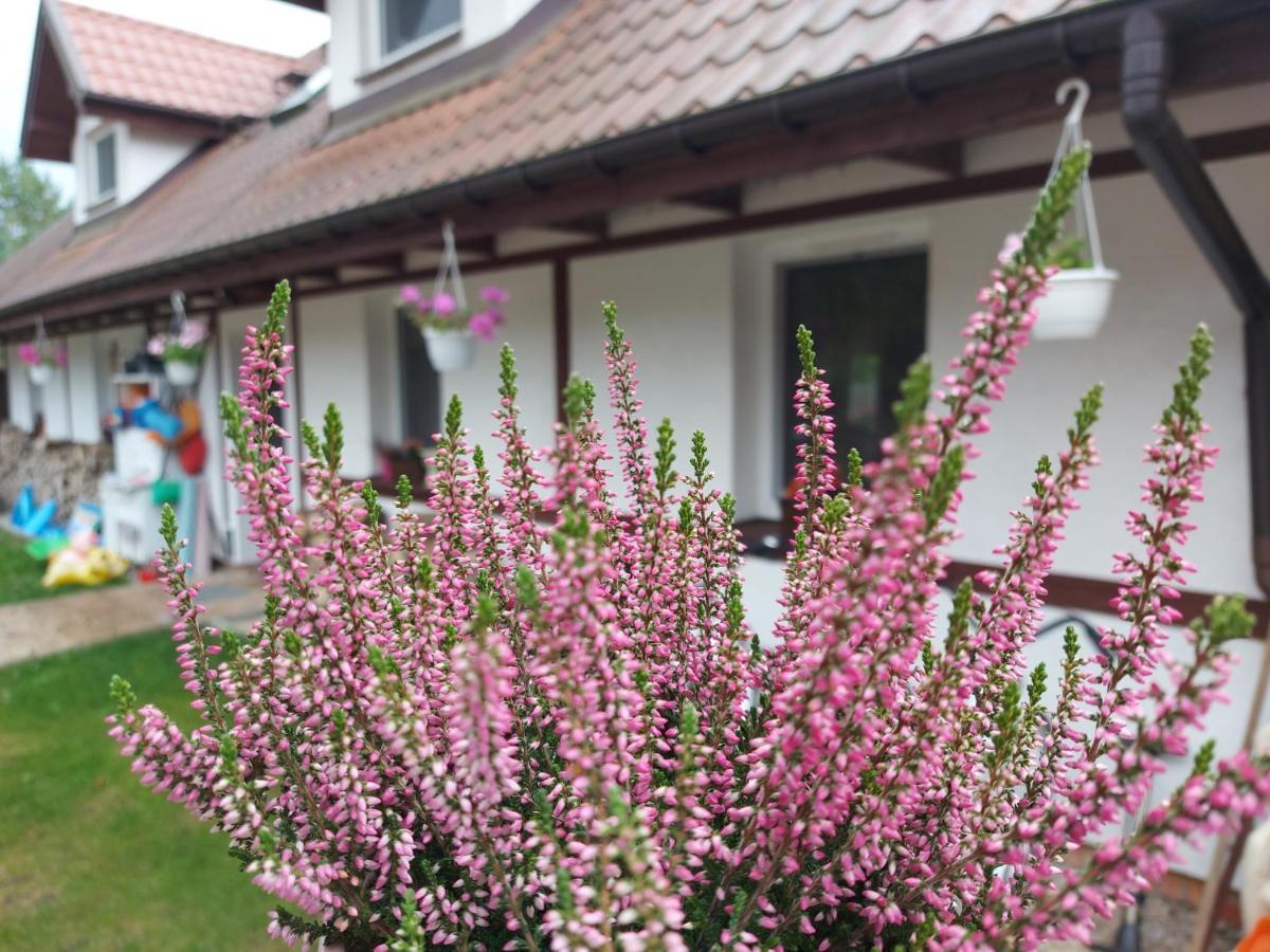 Cztery Pory Warmii Pluski Pokoje Do Wynajecia Appartement Buitenkant foto