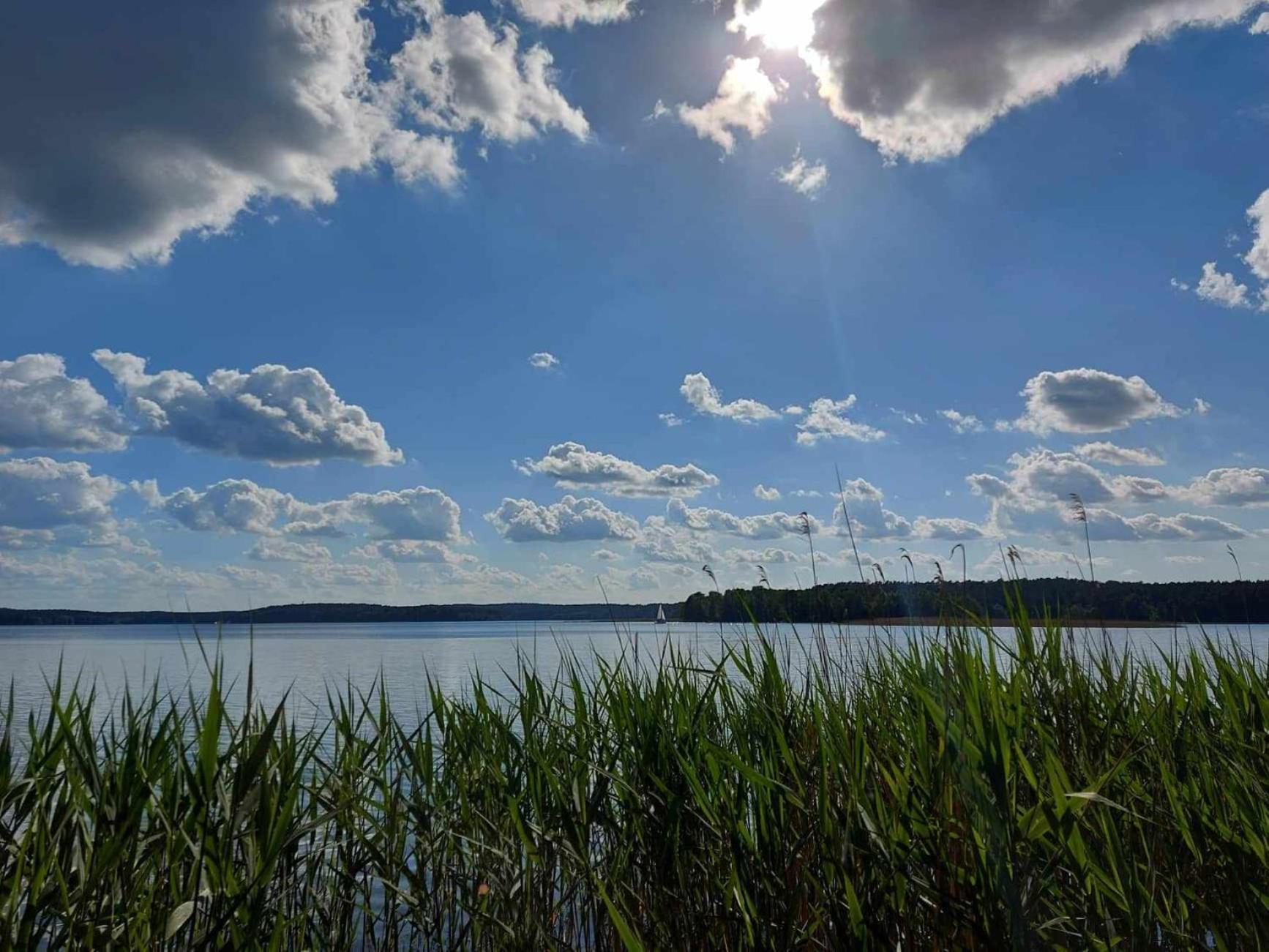 Cztery Pory Warmii Pluski Pokoje Do Wynajecia Appartement Buitenkant foto